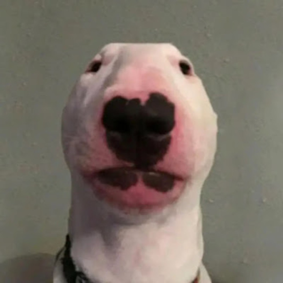 Meet your Posher, Joshua - Picture 1 of 1